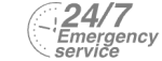 24/7 Emergency Service Pest Control in Camberwell, SE5. Call Now! 020 8166 9746